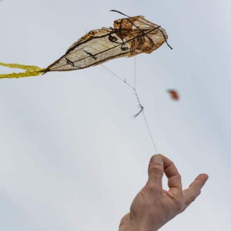 Les Arts volants accepte la monnaie locale