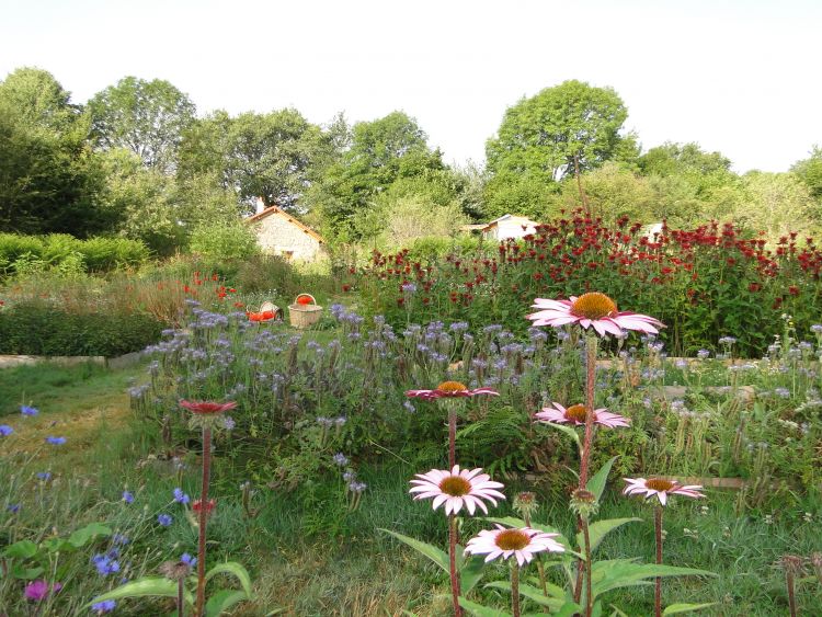 Tisanes en Fleurs accepte la monnaie locale