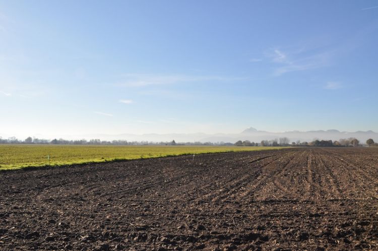 Ferme des Raux accepte la monnaie locale