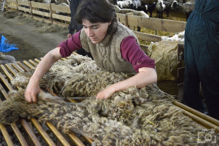 Séraphita accepte la monnaie locale