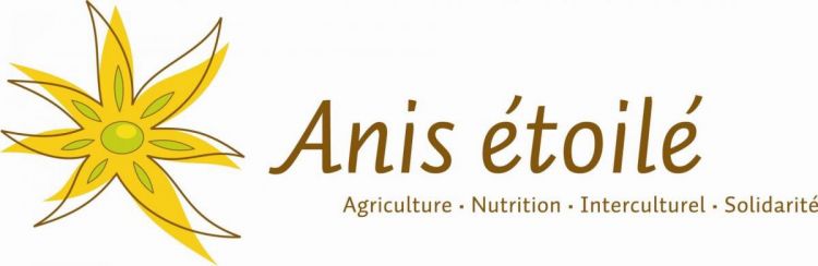 ANIS Etoilé
