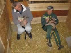 Ferme d'Elisariane